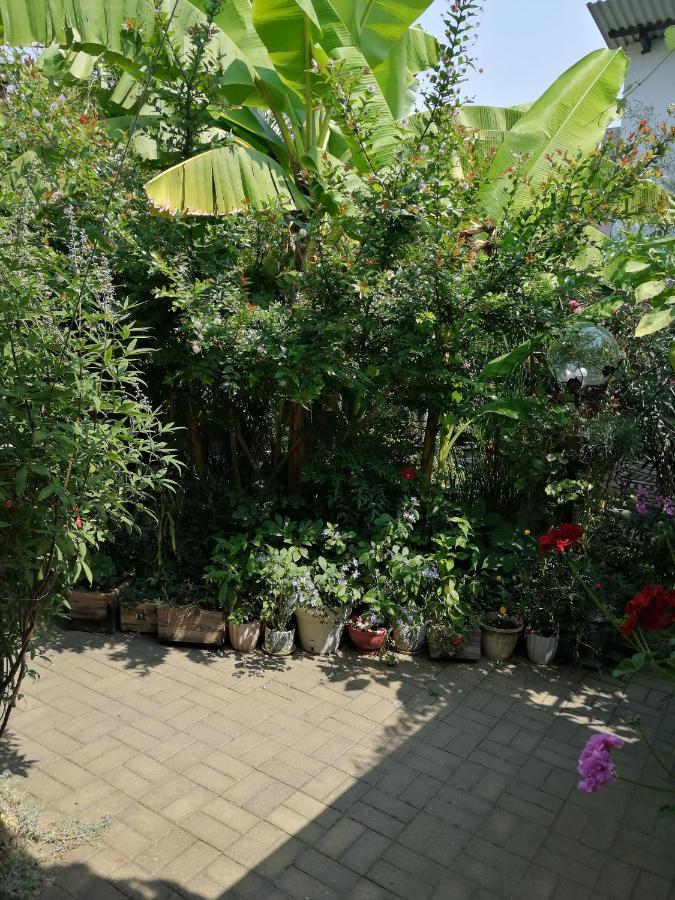 Hotel Magnoliia Suchumi Zewnętrze zdjęcie